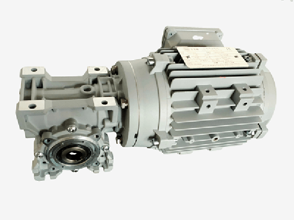 RV蜗轮减速机带电机